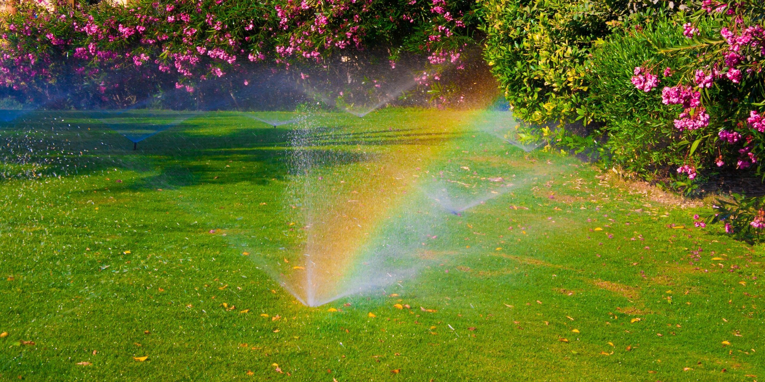 Efficient Home Irrigation Installation in Shreveport: A Guide to Sustainable Watering Solutions